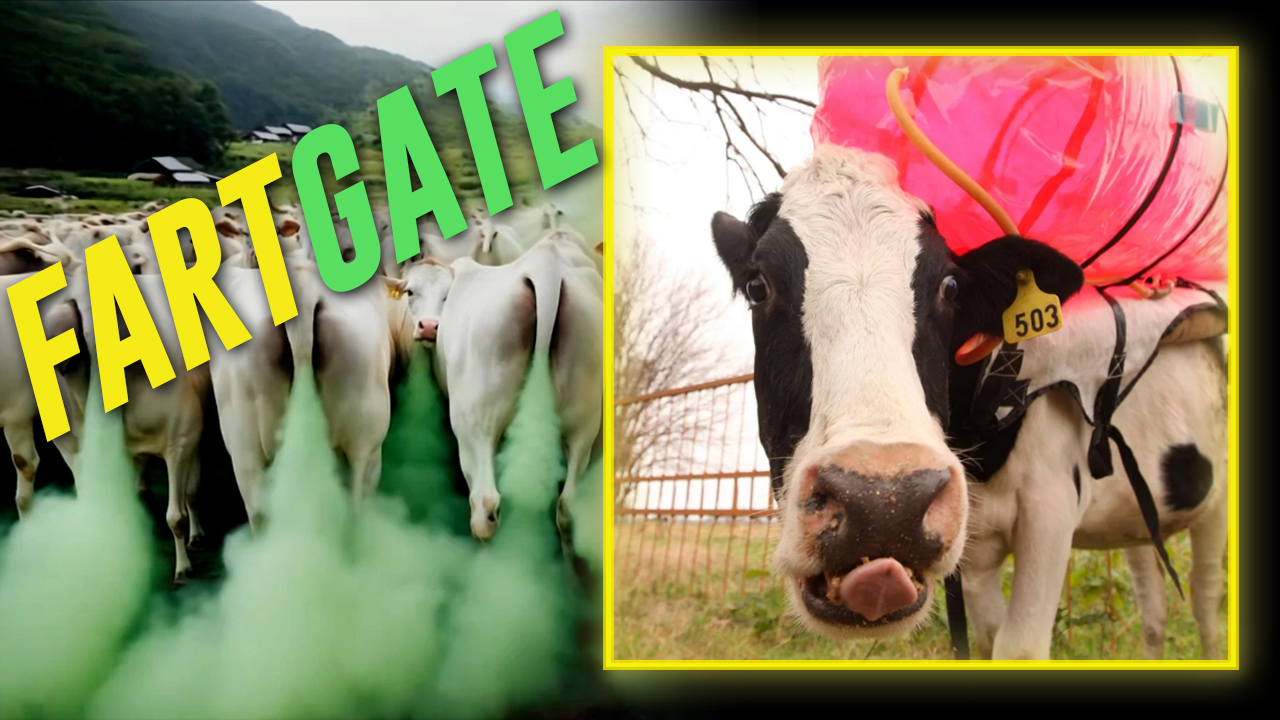 FARTGATE:  DOGE Discovers $8 Million In Taxpayer Dollars WASTED On Torturing Cows Because Their Farts Are 'Bad'  Do You Want To Fund Cutting Gaping Wounds In Cows, Shoving Tubes Up Thei...