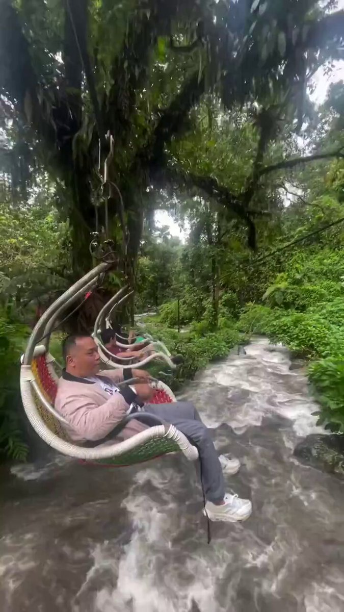 This is my kind of amusement park…