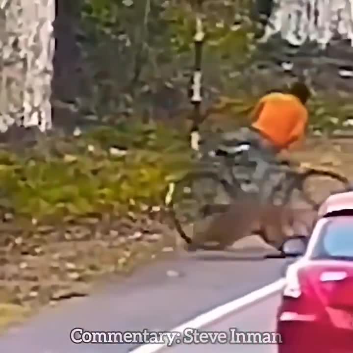 Meals on Wheels