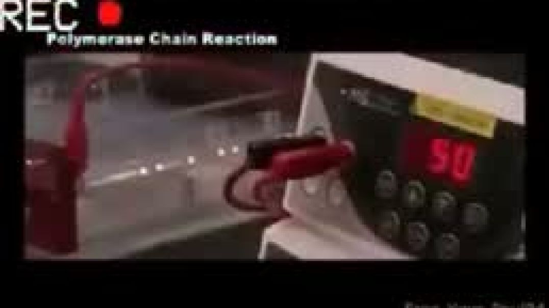 The PCR Test