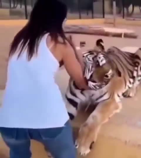 He just wants to play