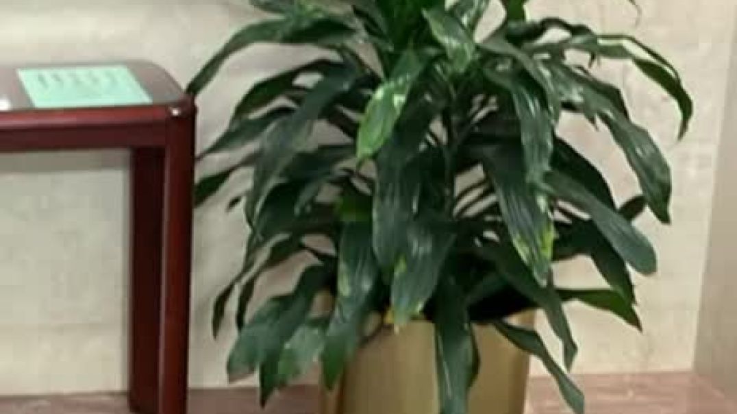 Please don’t water the plants 🤣😂 Unbelievable
