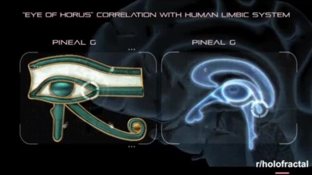 The only way out is in and the more you get go know your self it will get easier to understand. Everyone has an exit within that you can ho through when your done with this simulation.
