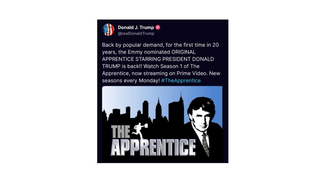 The Apprentice: The Art of the deal