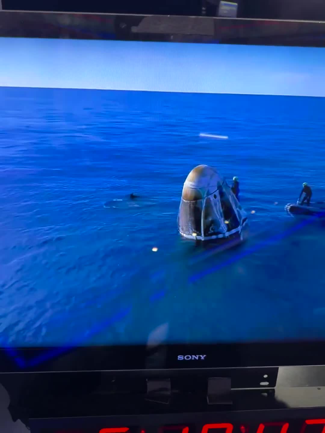 Astronauts greeted by Dolphins 🐬