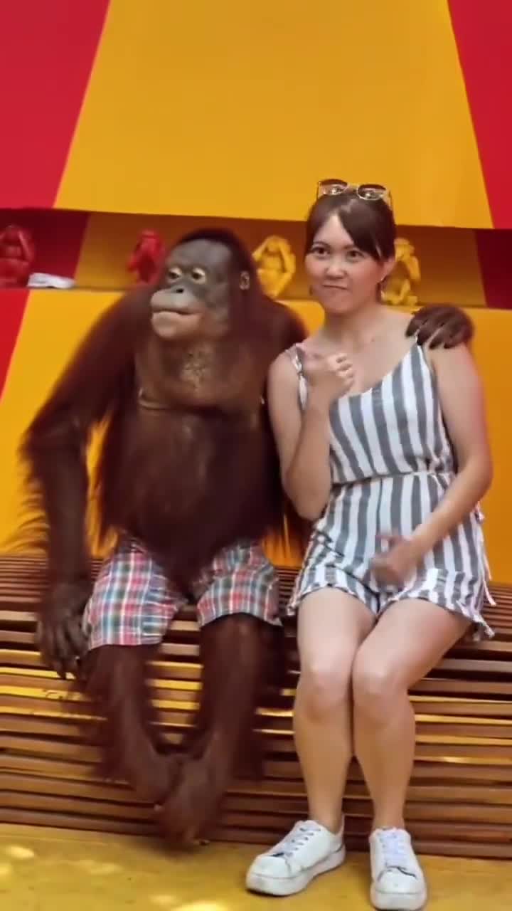 He knew exactly what he was doing