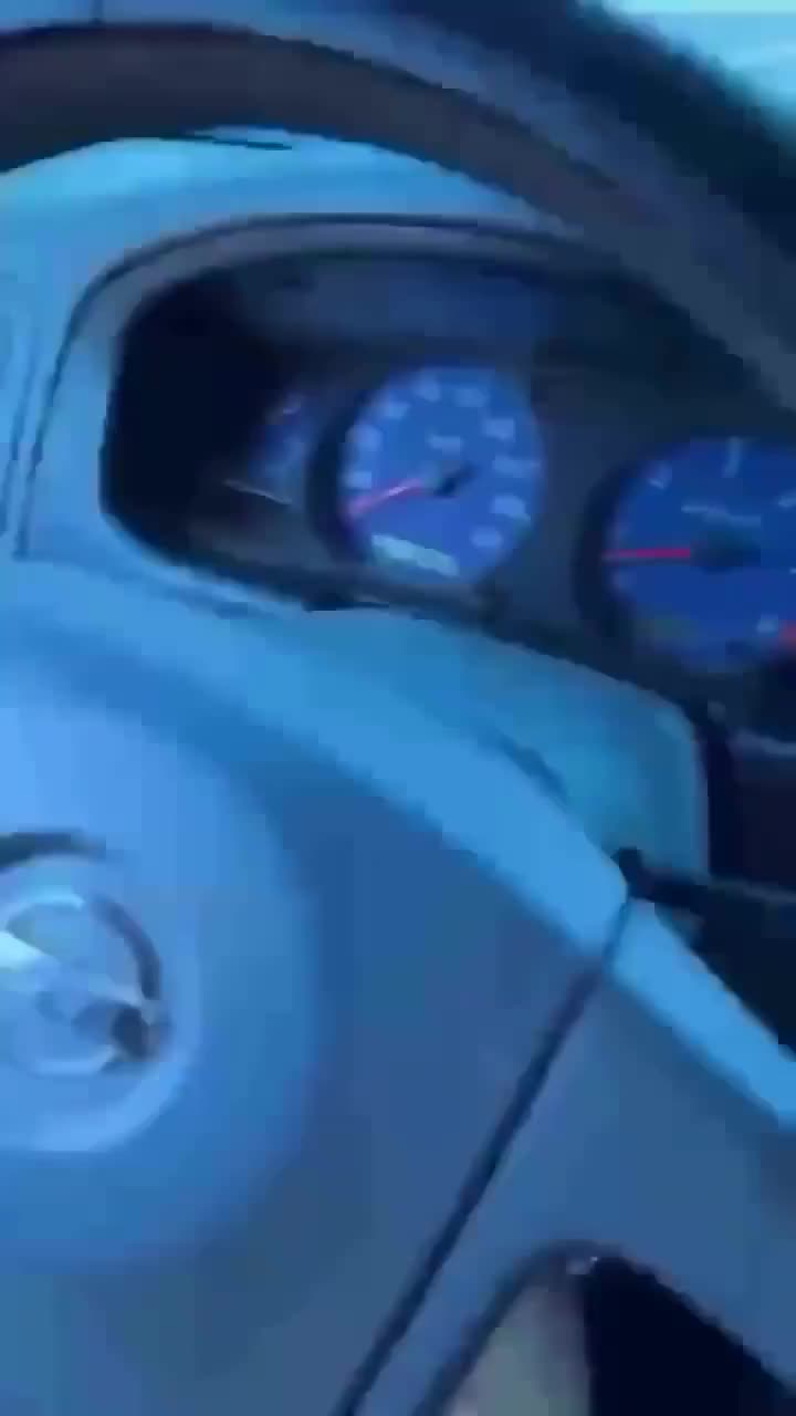 Just gonna move this lizard