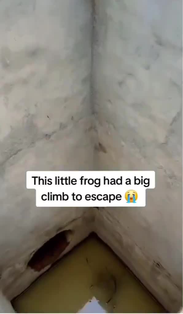 He tried so hard to get so far