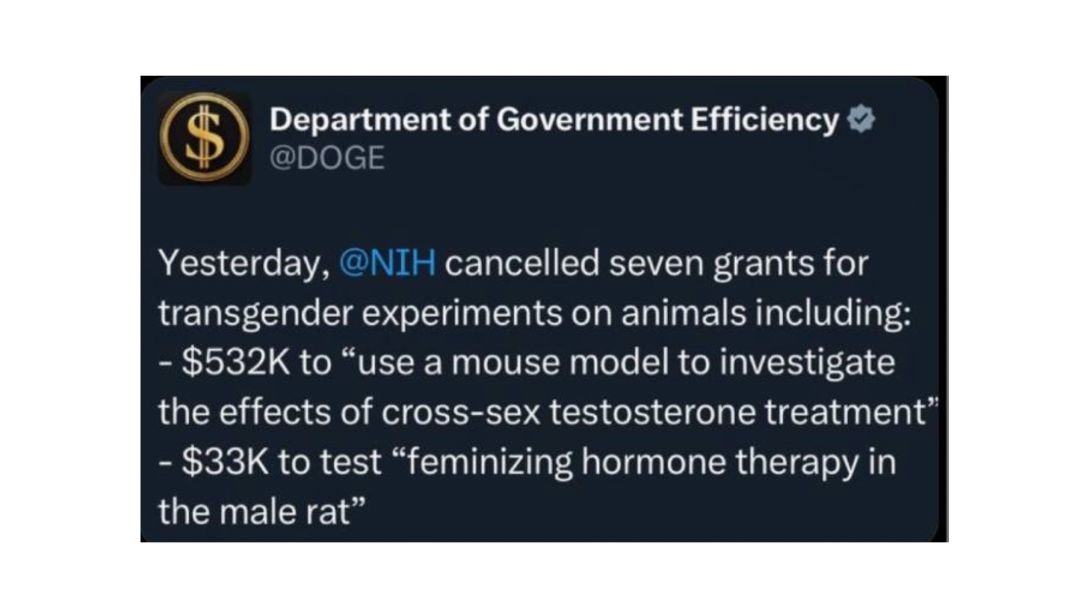 Elon Musk’s DOGE ended NIH funding where they were experimenting on how to Feminize Male Rats
