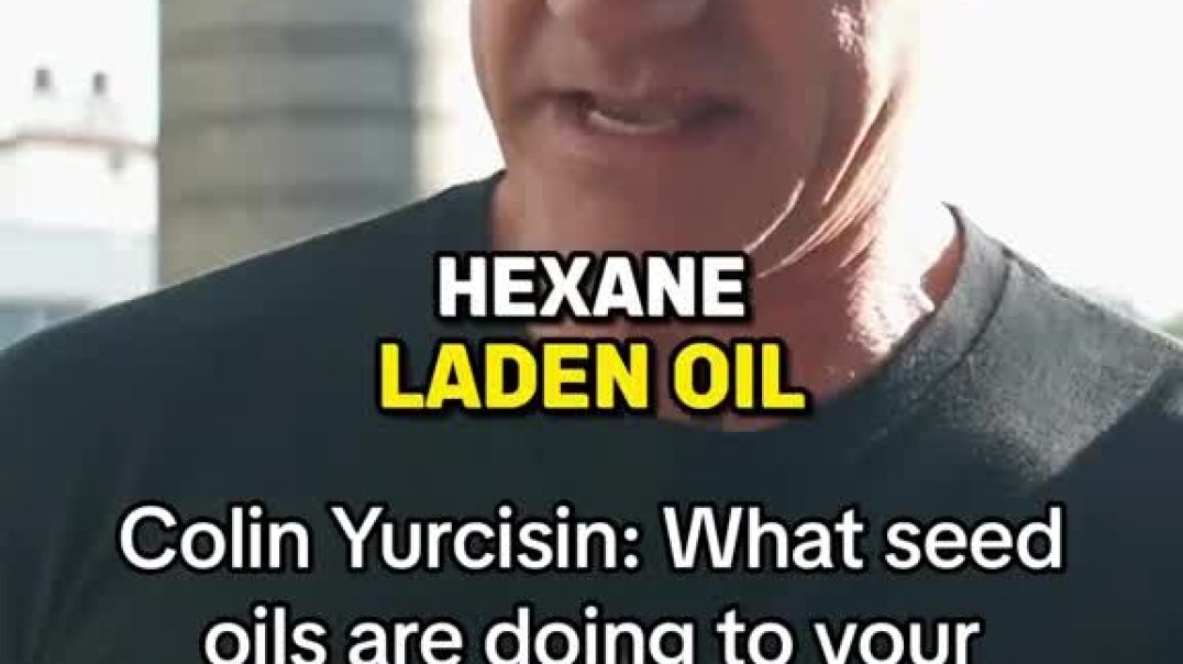 Processed seed oils are bad for you