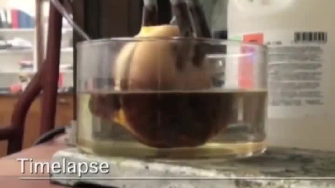 A Cheeseburger in Hydrochloric Acid.