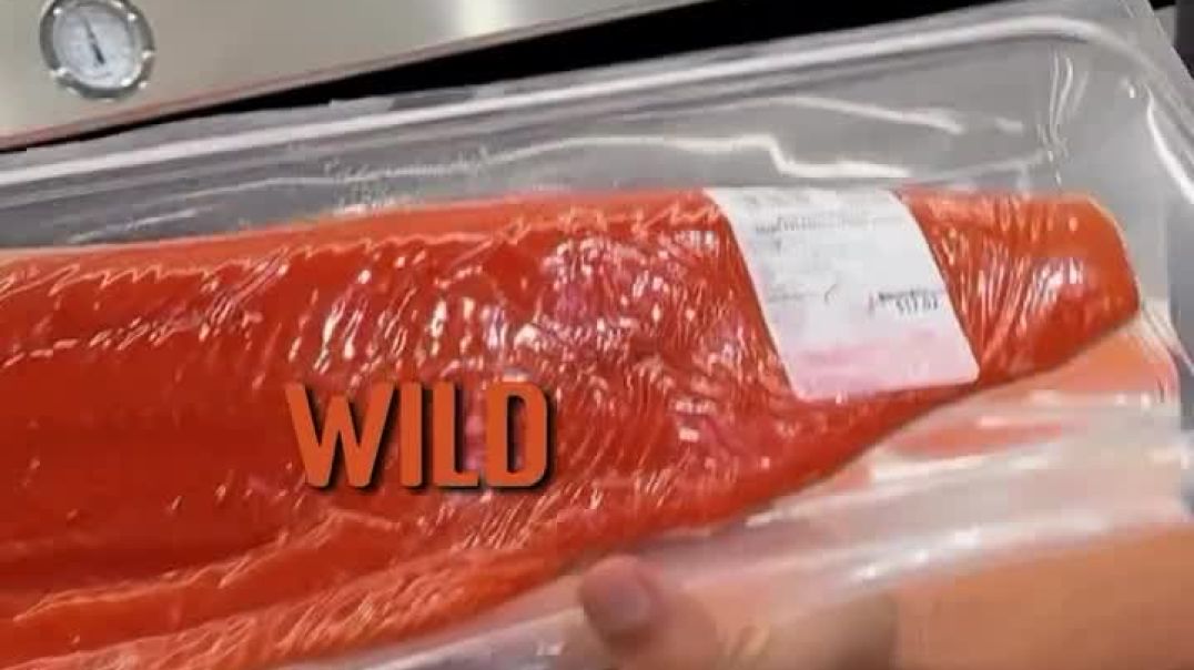 Farm-raised salmon is disgusting 🤢  Farm-raised salmon is full of toxic compounds and synthetic dyes…