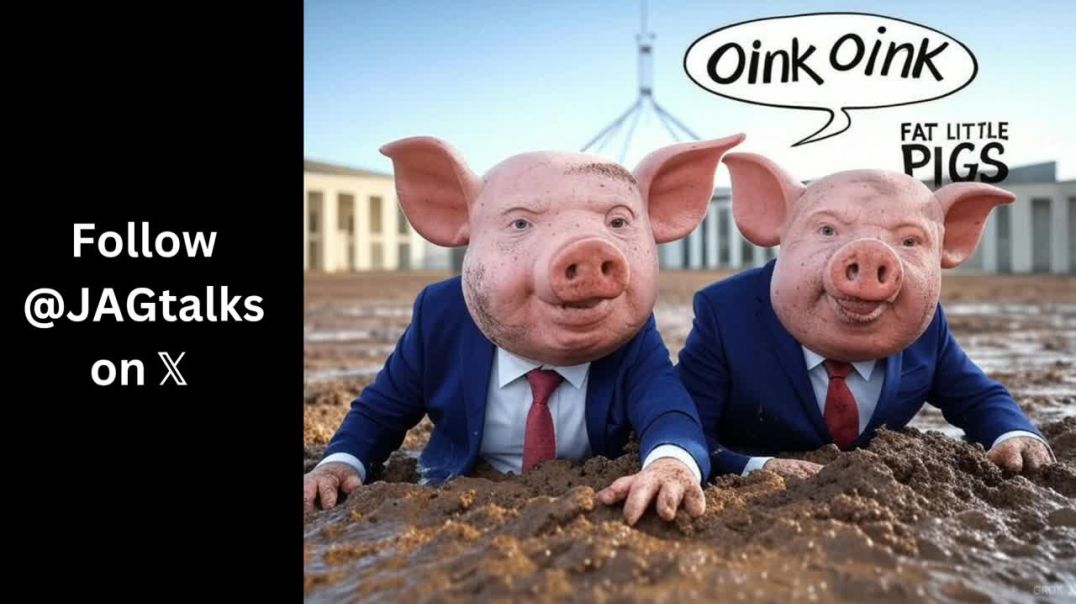 Fat Little Pigs  By JAGtalks