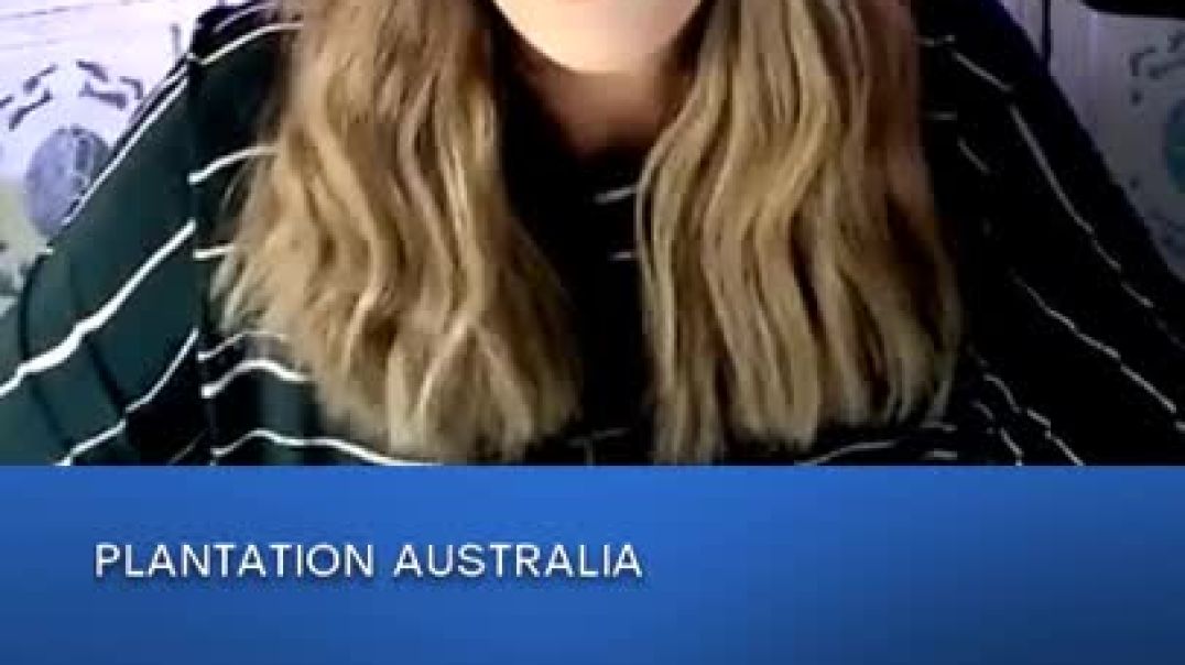 THEWHITERABBITAUSTRALIA  PLANTATION AUSTRALIA