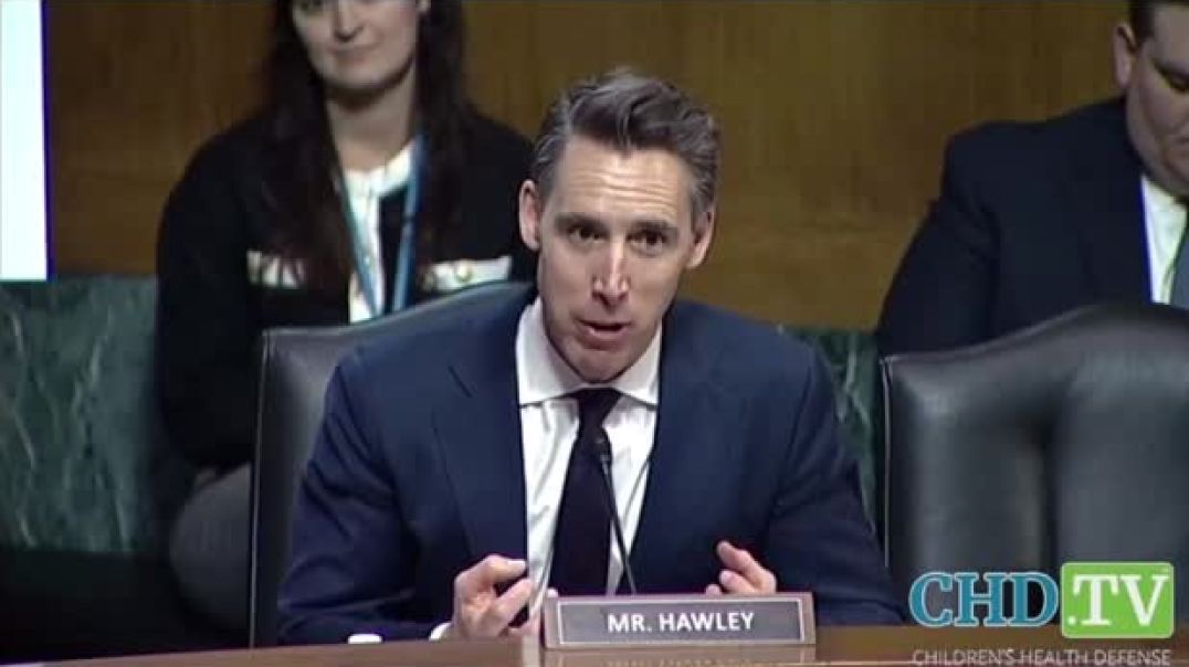 Senator Josh Hawley states that a small, insular group of large tech companies is effecting political change and controlling political outcomes