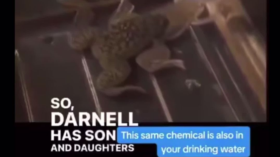 ATRAZINE IS IN THE WATER AND YES IT TURNED THE FROGS GAY