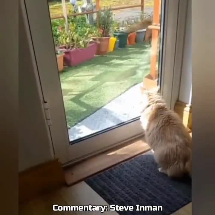 Virtual Bitch Slap