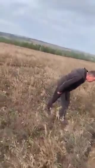 They could not believe their eyes