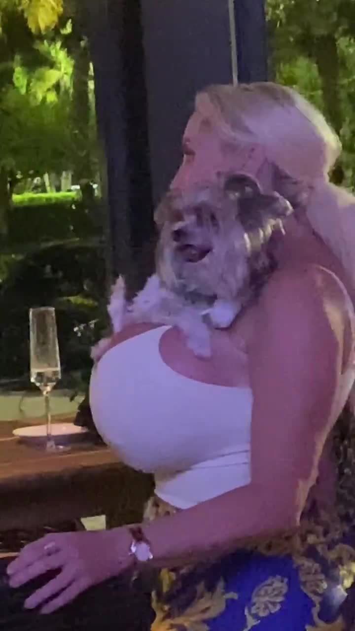 Dog looks happy 😊