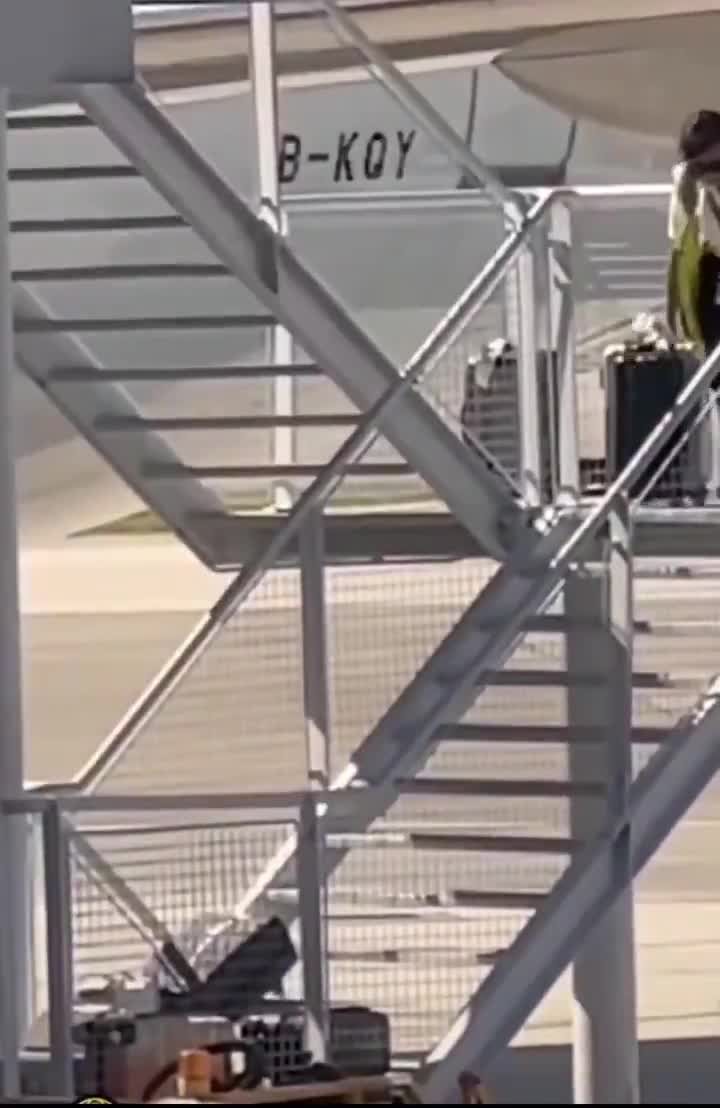 How does this video make you feel?