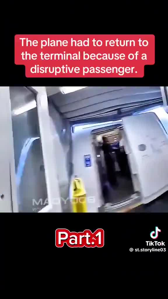 They de boarded the entire plane in order to remove her.  Plane debacles continue - This Woman is scary calculated crazy - part 2 below.