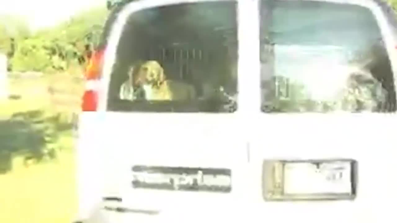 MUST WATCH: Video of dogs being rescued from an abandoned NJ testing lab owned by Democrat Rep Shri Thanedar. Most of them never even experienced being outside before.  This is the guy who's...