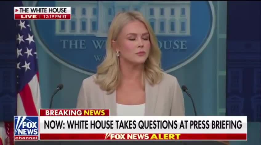 White House Press Secretary Karoline Leavitt says the Salvadoran illegal was deported because ICE and DHS has \