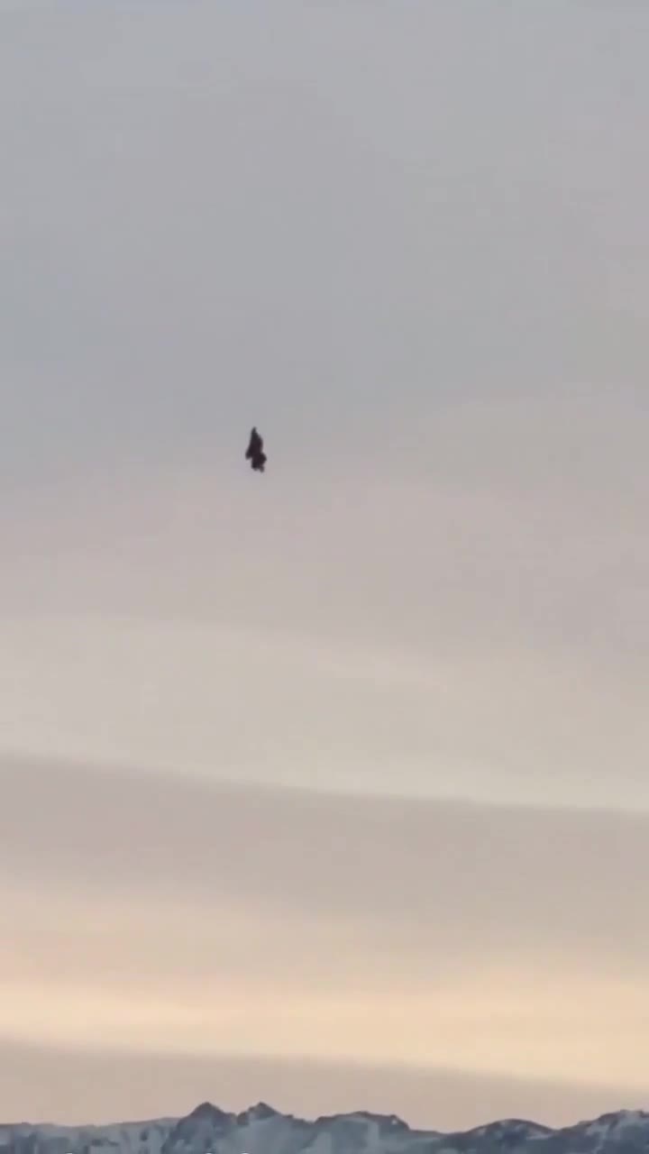 🇺🇸 Meanwhile filmed this month over Alaska   Any takers for an explanation on this one?