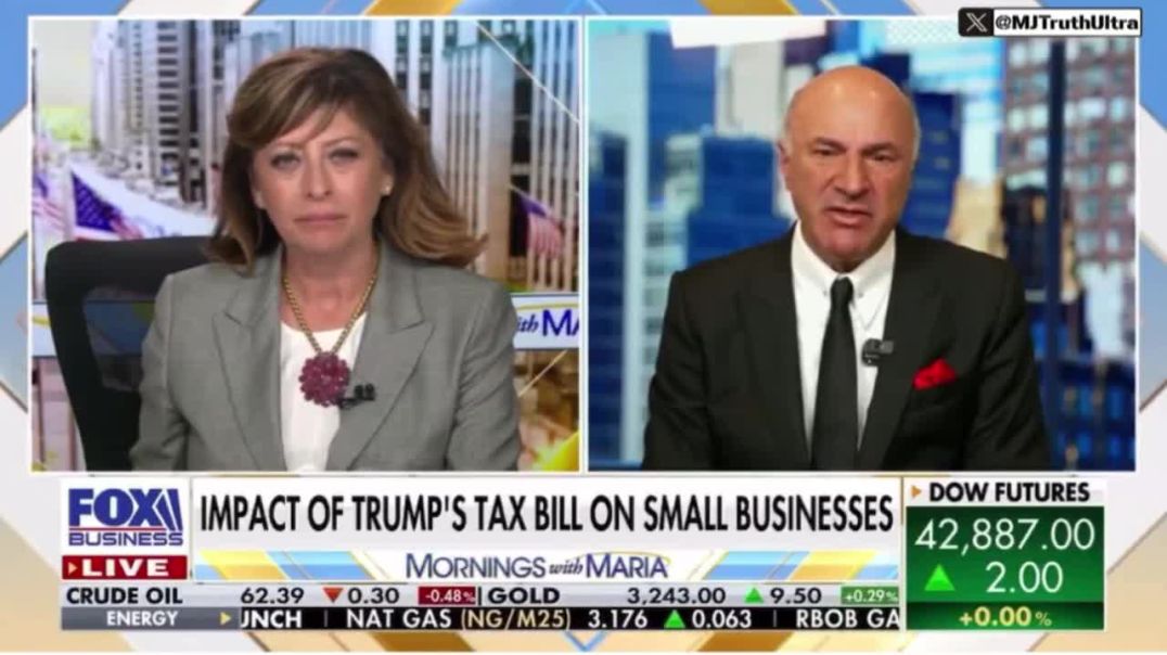 SharkTank CEO Kevin O’Leary sounds the alarm on “The Big Beautiful Bill” — The IRS will receive Extended Powers to Audit Small Businesses up to 9 Years who took the Loans