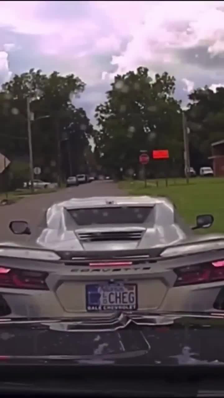 Passenger gets out of car right before police chase