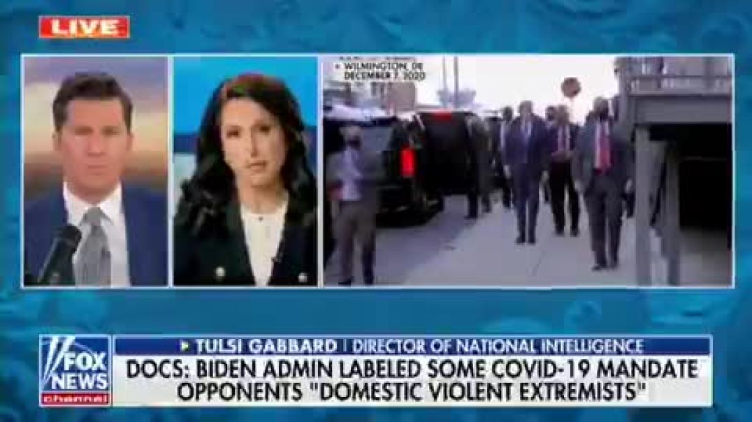 Tulsi Gabbard just dropped a bombshell, claiming she has declassified documents revealing that former President Joe Biden put American citizens on a terrorist watch list simply because they spoke out 