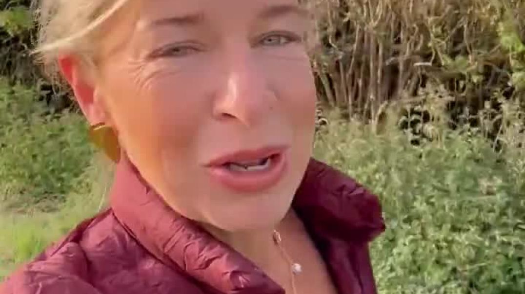 Katie Hopkins - Batshit Bonkers Britain   We are being sprayed to extinction