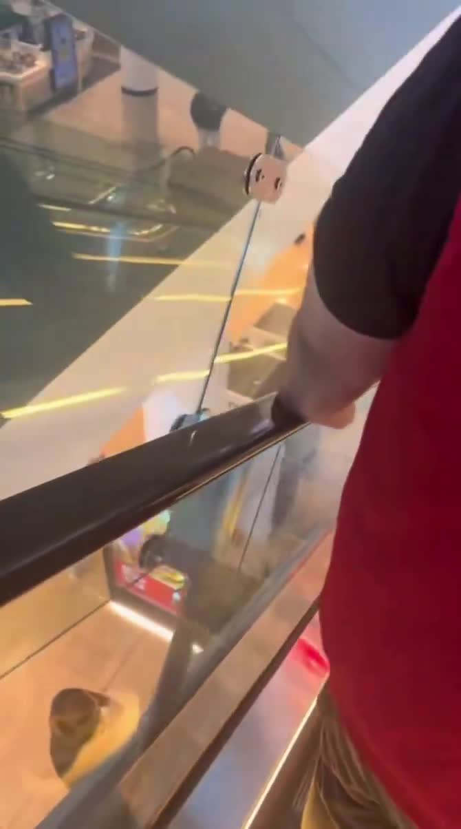Northland Shopping Centre machete brawl was ‘retaliation’ between two gangs  Witnesses described seeing shoppers running, screaming, and hiding