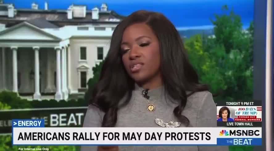 Jasmine Crockett says Trump is trying to kiII us all by making planes fall out the skies