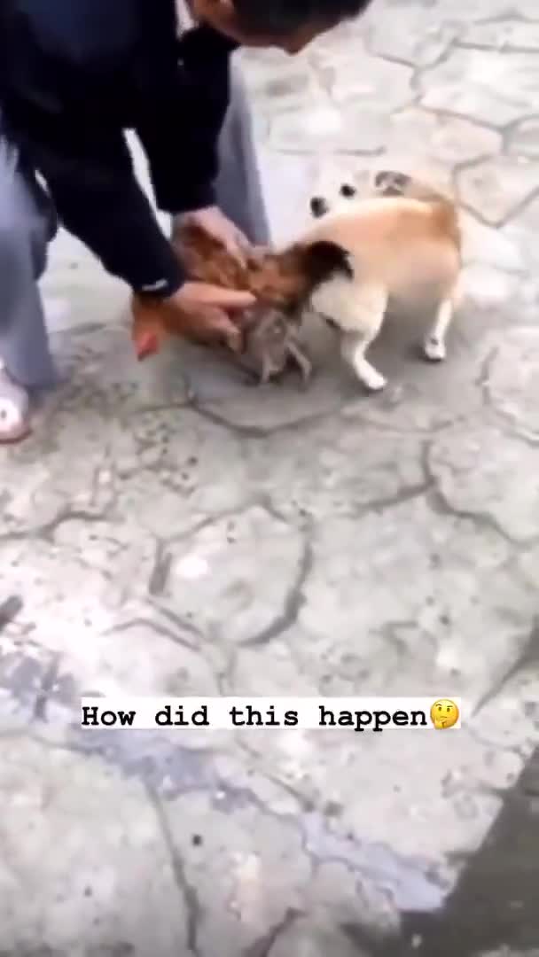 I have so many questions