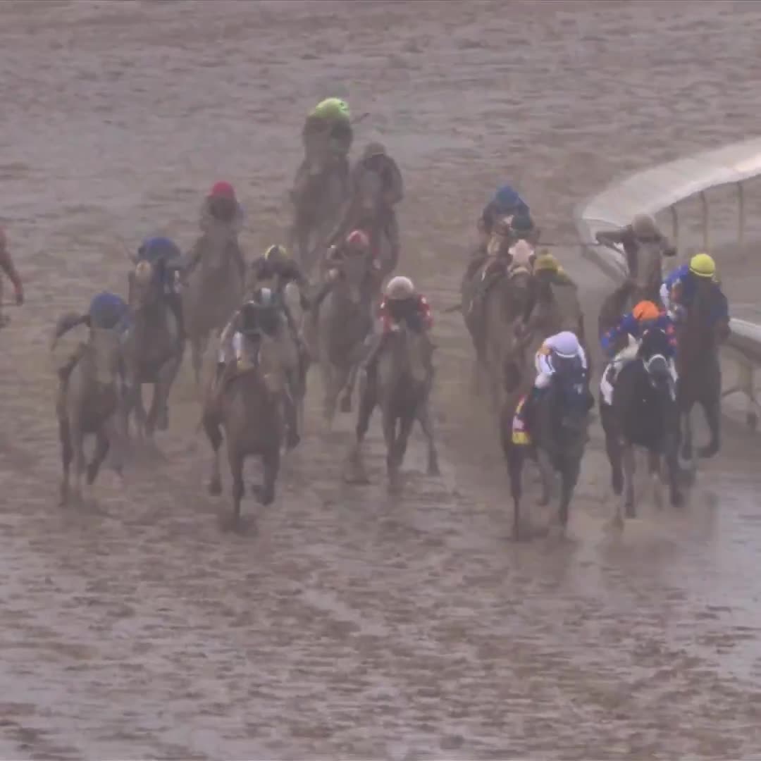 Sovereignty just beat Journalism to win the Kentucky Derby.  Welcome to America in 2025 🇺🇸