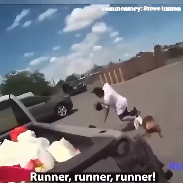 Classic Fur Missile Moments