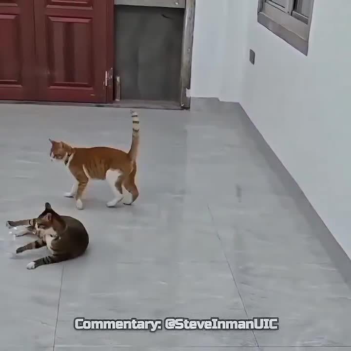 Well played. Well played.