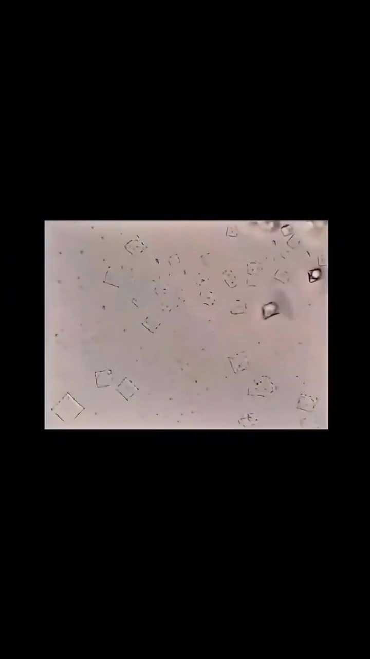 Nicotine vs  Nanotec under a microscope experiment   The benefits of Nicotine for Humans has been grossly hidden from us.