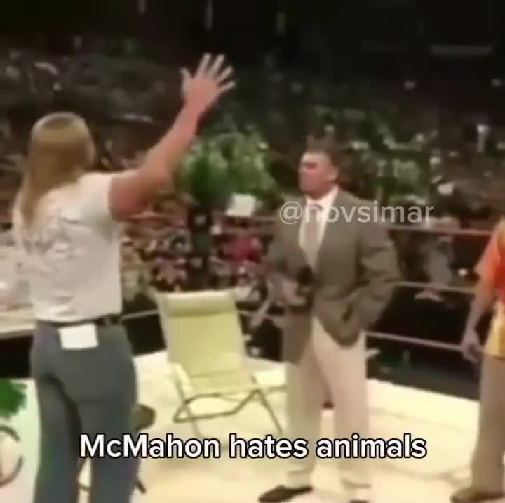 Easily top 5 greatest WWE clip of all time