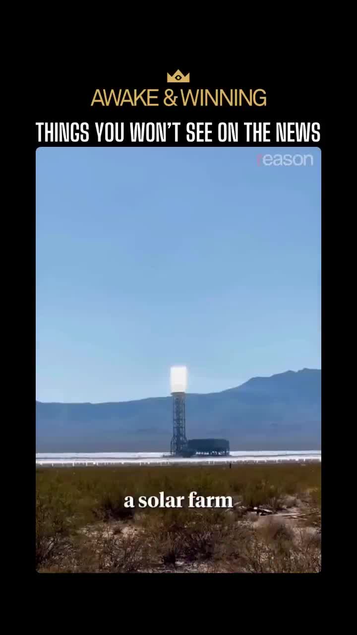 “Why does the Government fund a 5 mile squared death ray that kills 6,000 birds a year?  Just another scam that people got obscenely rich off of.