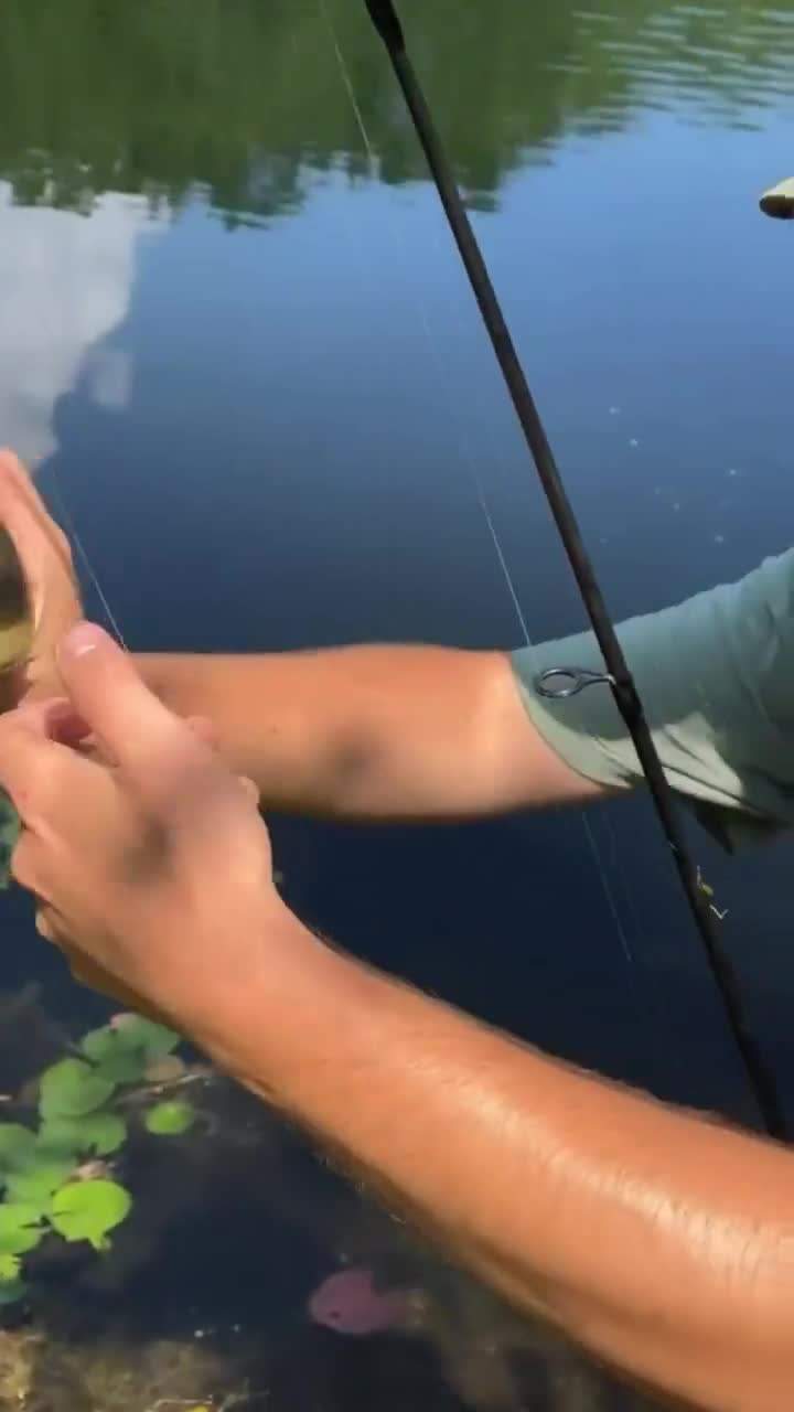 Bro is this move in the fishing handbook? 💀