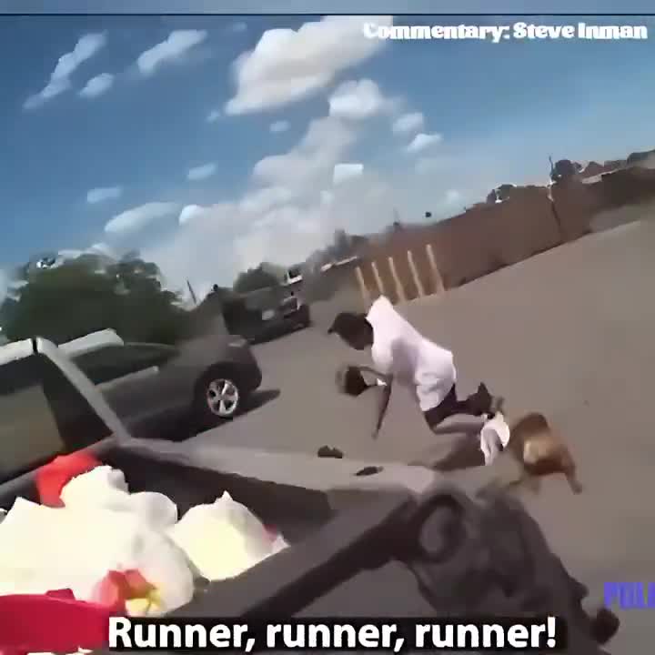 Classic Fur Missile Moments