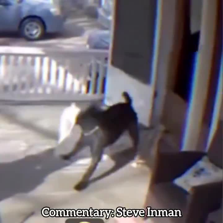 Door Dash