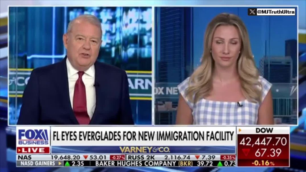 A Remote Patch of land in the Florida Everglades, surrounded by a Swamp and Alligator’s, will be the Premiere Destination for ILLEGAL ALIENS