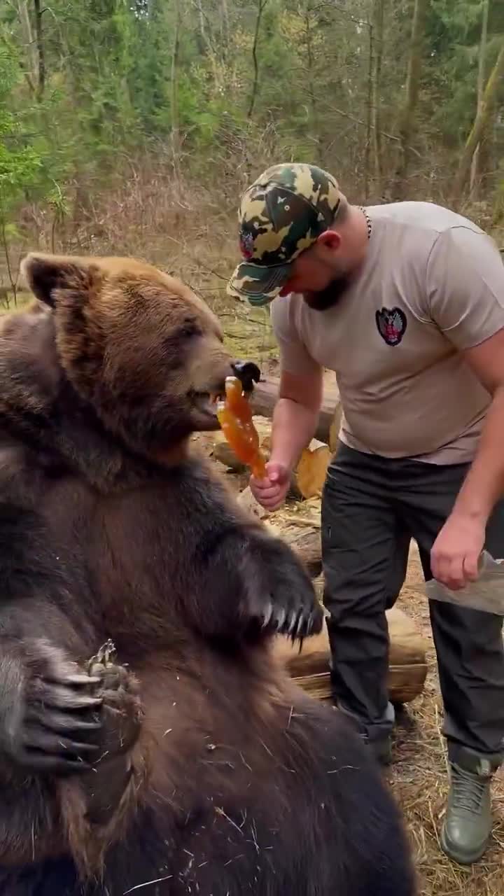 That’s one way to stop a bear from eating you
