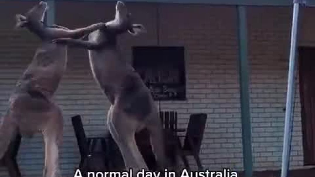 Australia is a different world