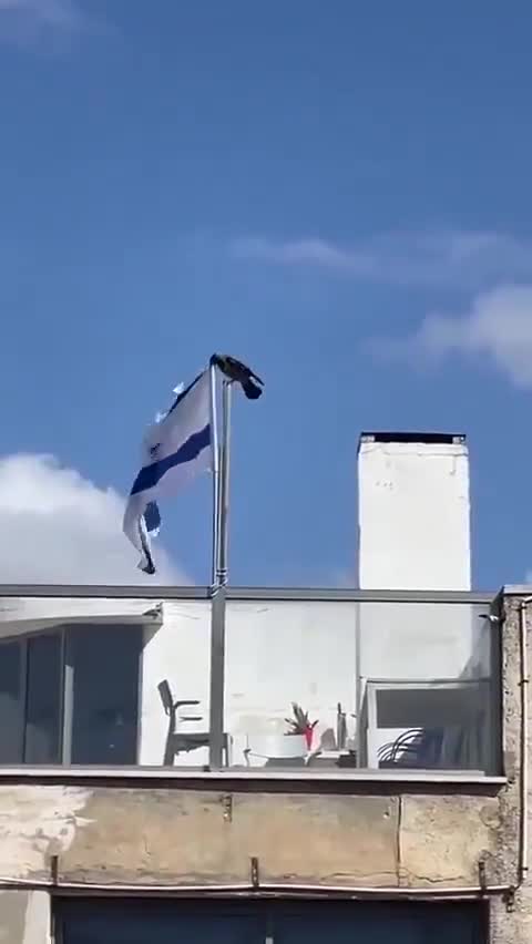Even the birds are anti semitic  now