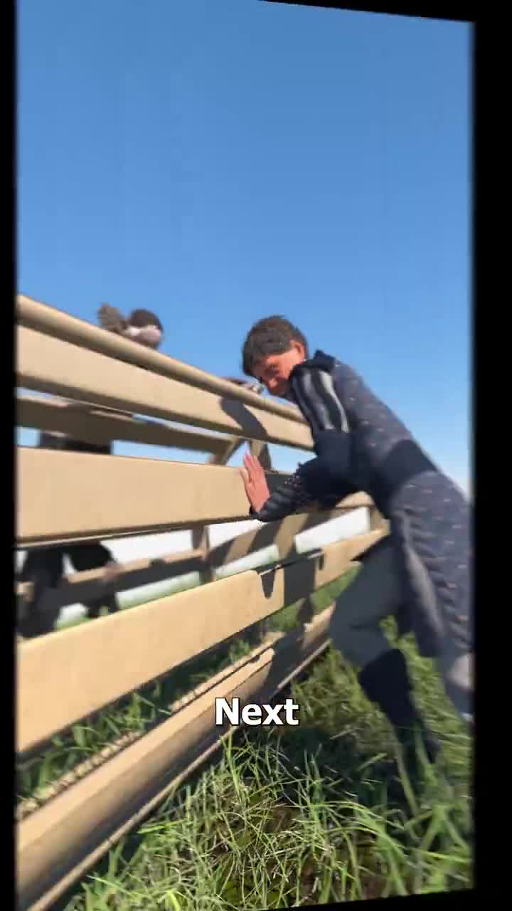 Brutal