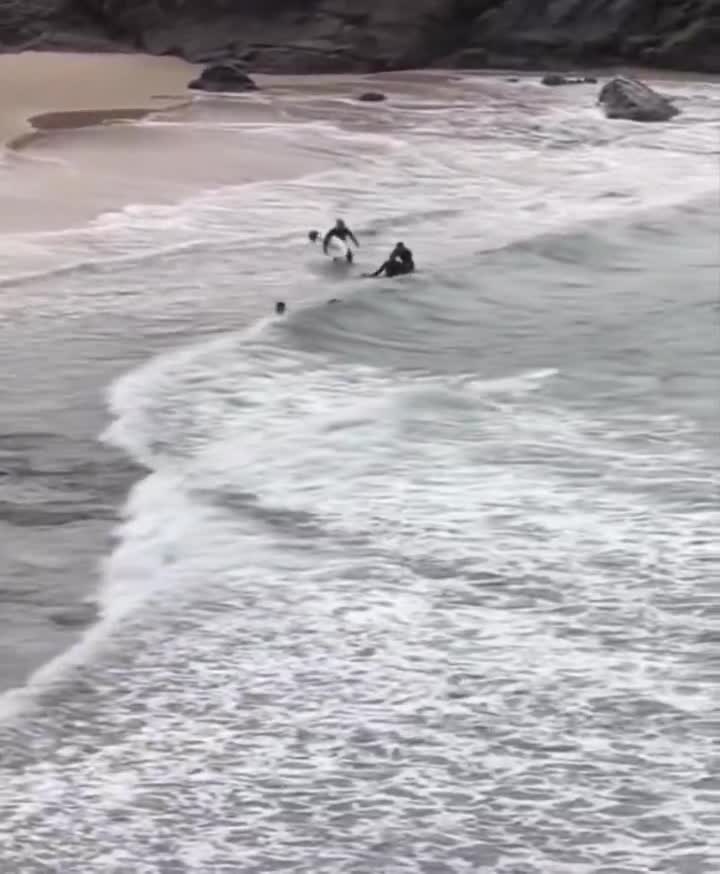 A 16-year-old boy is carried up the beach by fellow surfers after being attacked by a shark at Cabarita Beach, NSW  He suffered serious injuries to the right side of his body including his l...